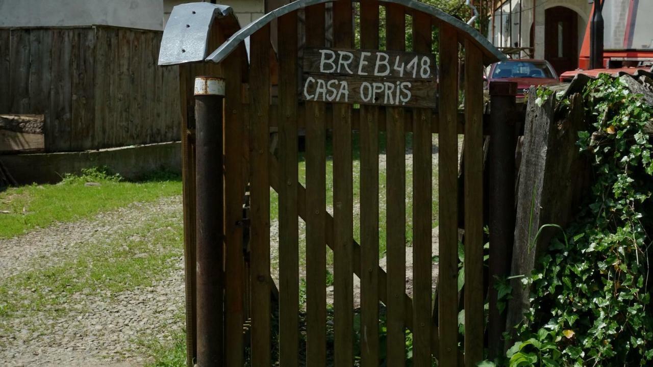 Breb 418, Casa Opris Guest House Exterior photo